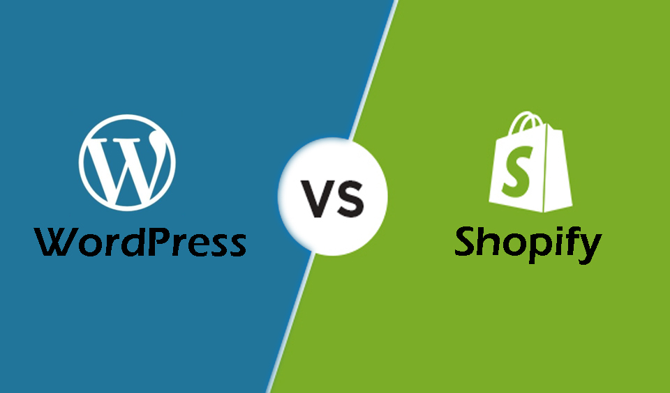 WordPress & Shopify Course