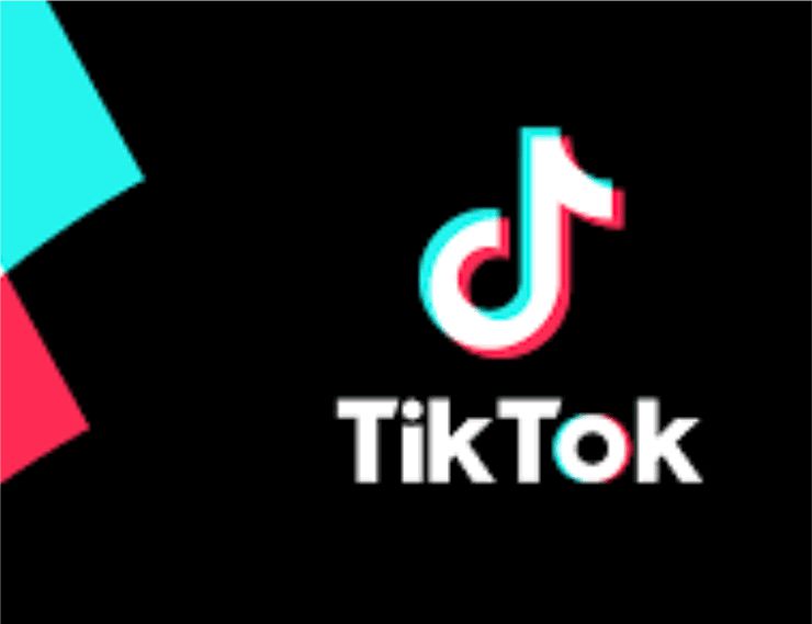 Tic Tok Video Marketing & Advertising