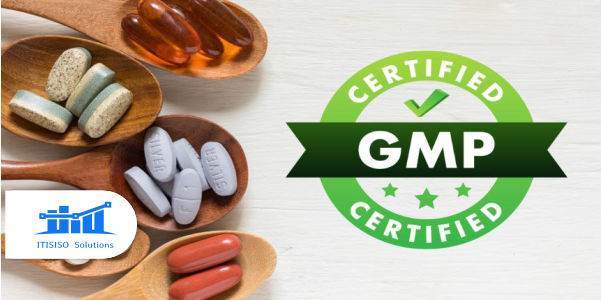 Good Manufacturing Practices (GMP)